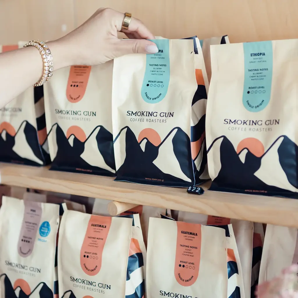 Downtown Squamish view 2